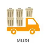 Muri