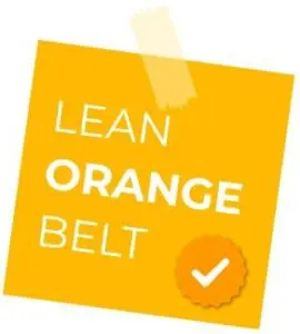Lean Orange Belt